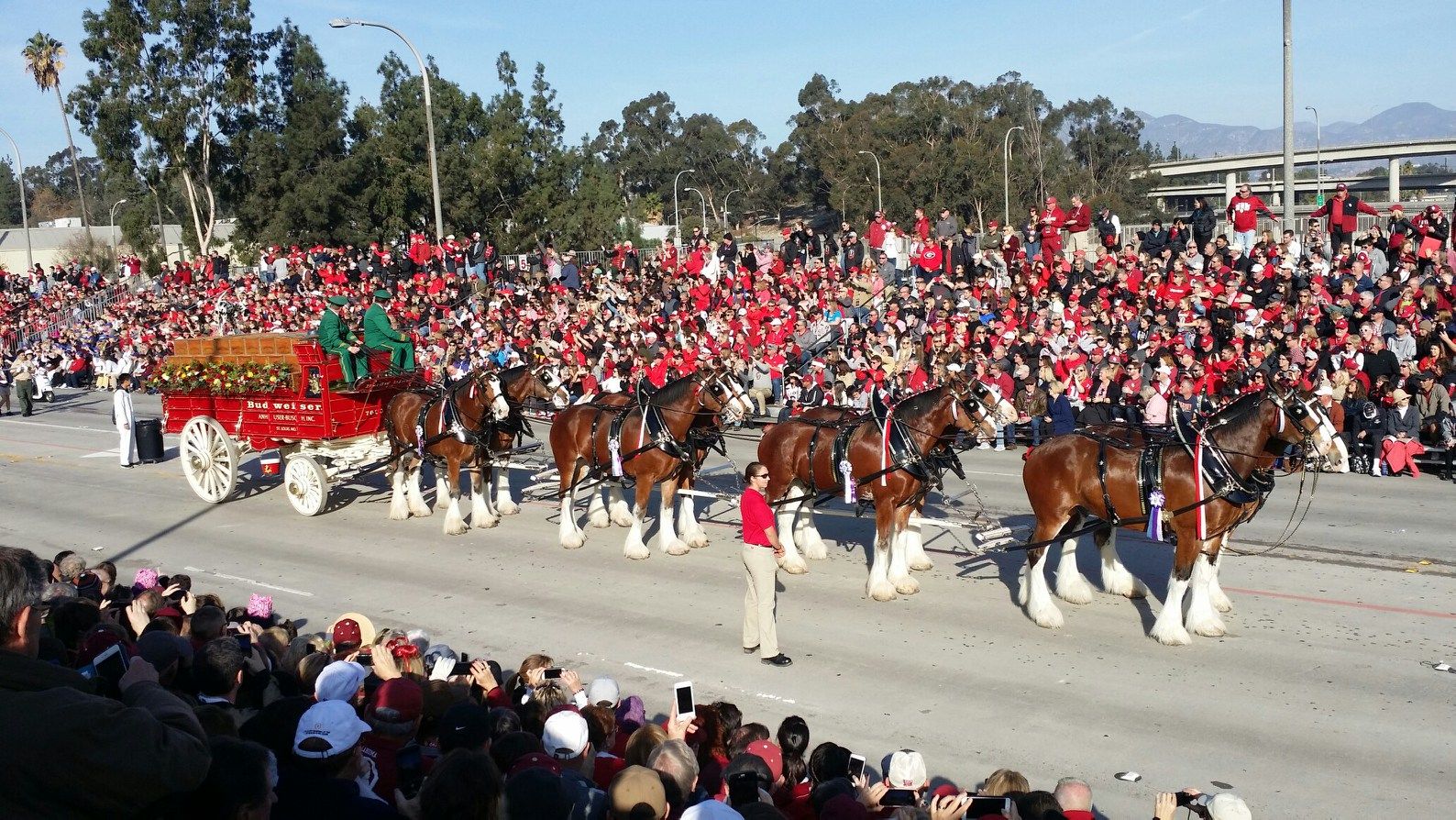 Rose Parade Clydesdales updated 2018